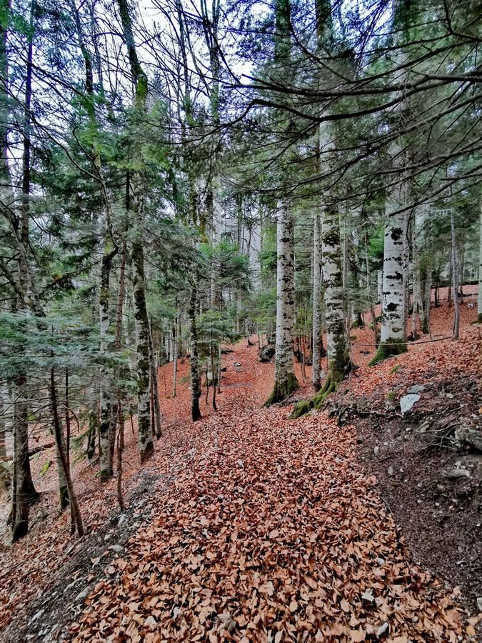 Кемпинги Paradise On Tara Мойковац-39